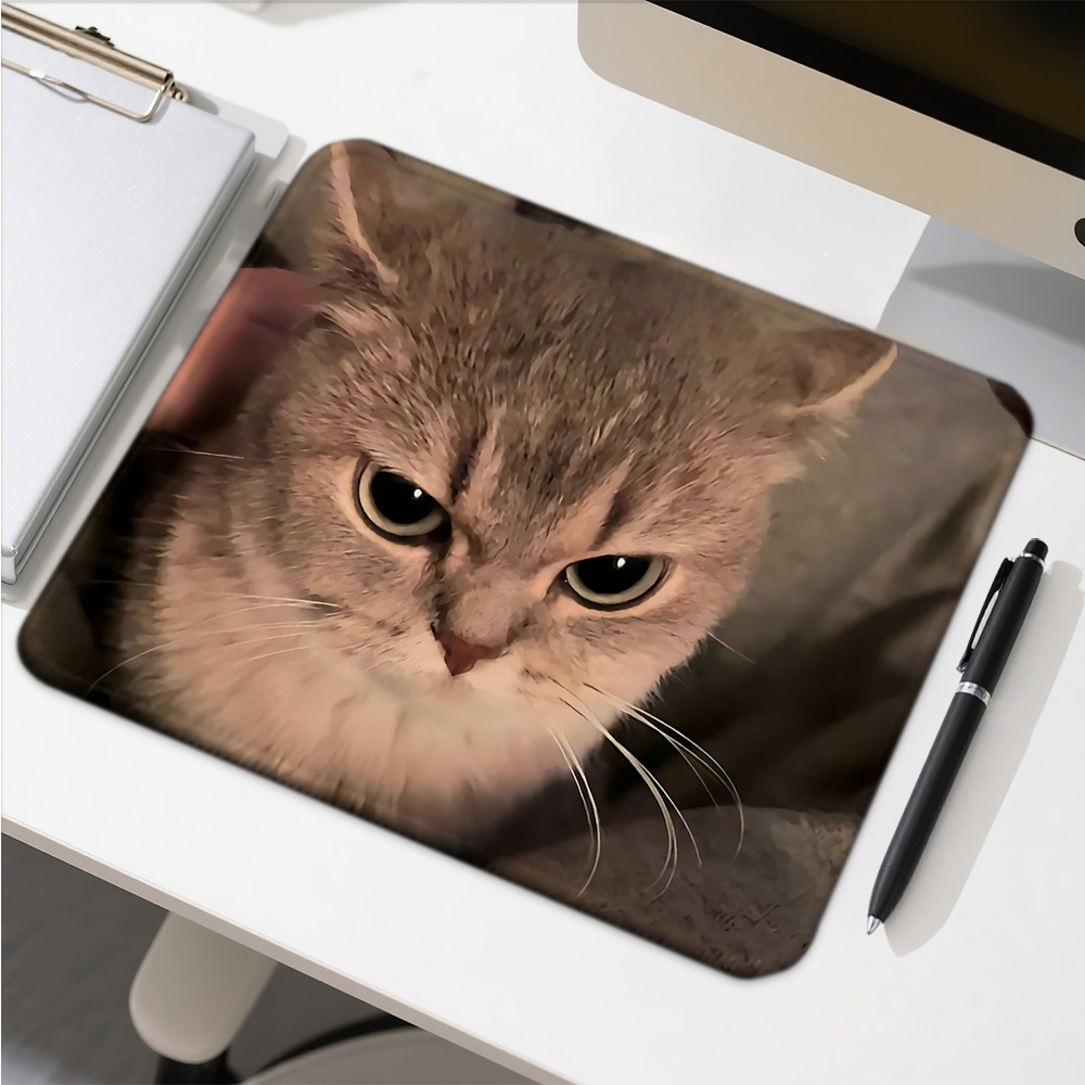 Funny Cat Expressions Computer – Gaming Accessories Companies Bewertung und Preis