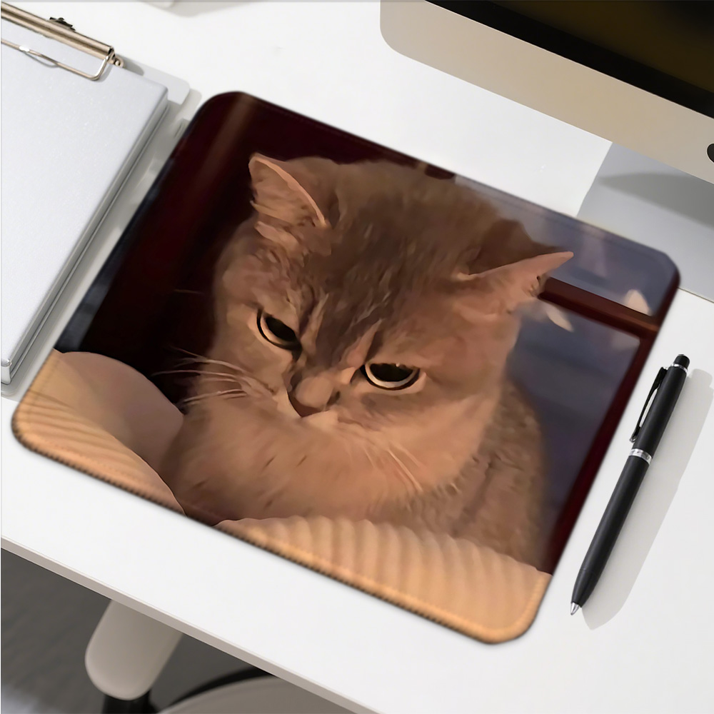 Funny Cat Expressions Computer – Gaming Accessories Companies Bewertung und Preis
